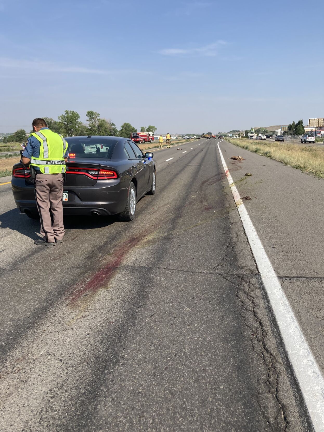 6/17/21 accident: deer blood